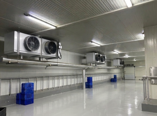 Dairy and Ice Cream Industry